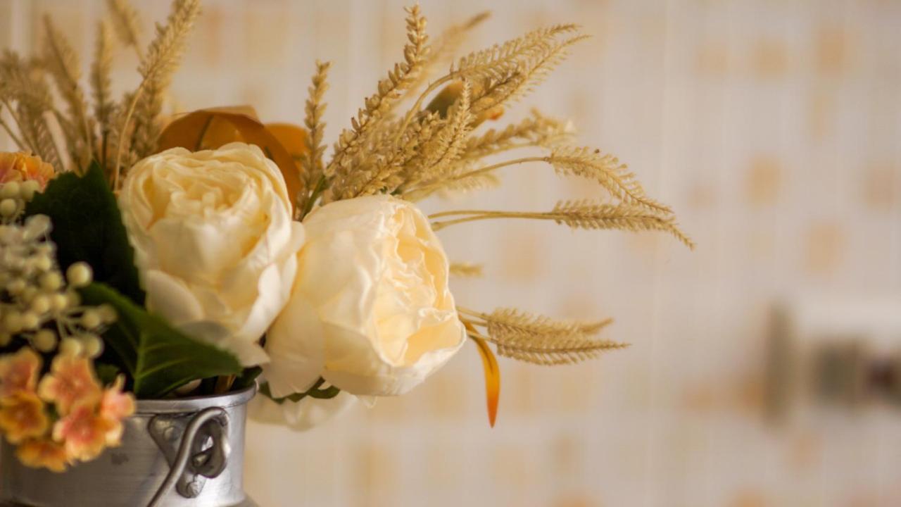 Bed & Breakfast La Pilona Bagnolo San Vito Luaran gambar